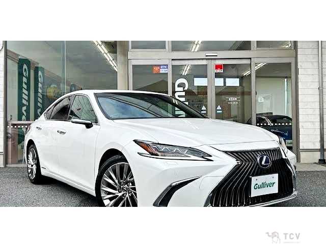 2019 Lexus ES