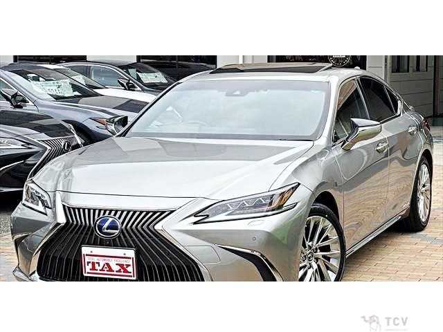 2019 Lexus ES