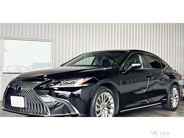 2019 Lexus ES