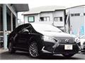 2013 Lexus HS