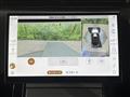 2025 Land Rover Range Rover Vogue