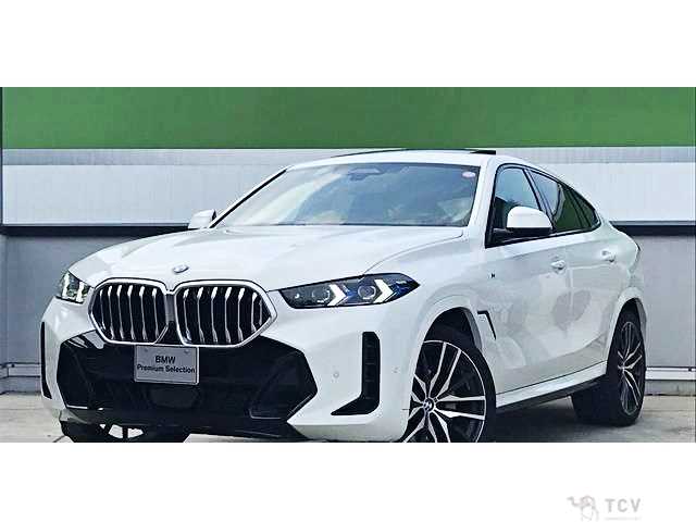 2025 BMW X6