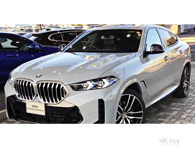 2025 BMW X6