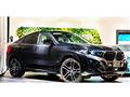 2024 BMW X6
