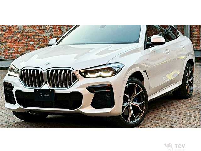 2023 BMW X6