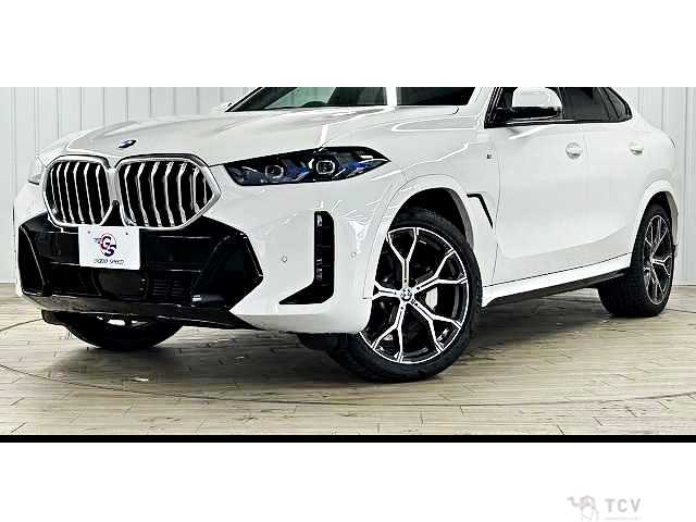2023 BMW X6