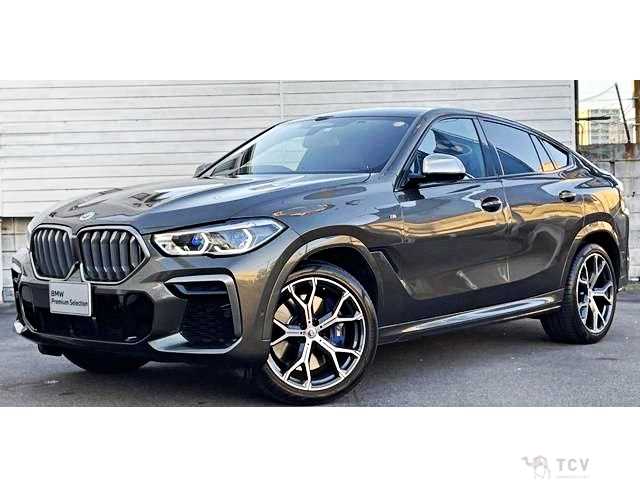 2023 BMW X6