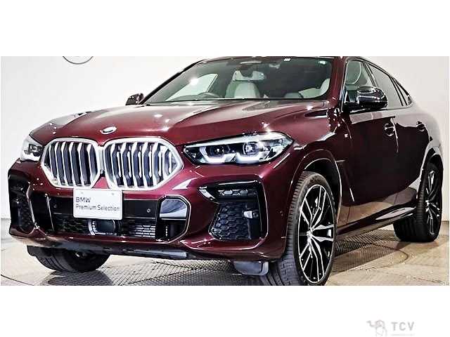 2022 BMW X6