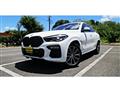 2020 BMW X6
