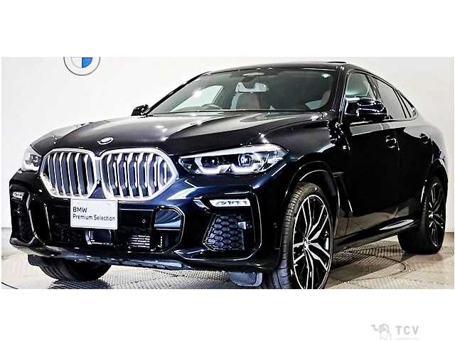 2020 BMW X6