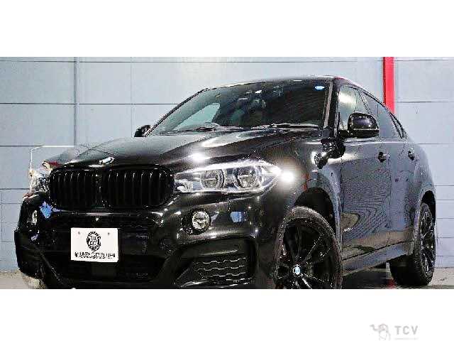 2017 BMW X6