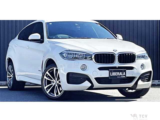 2016 BMW X6