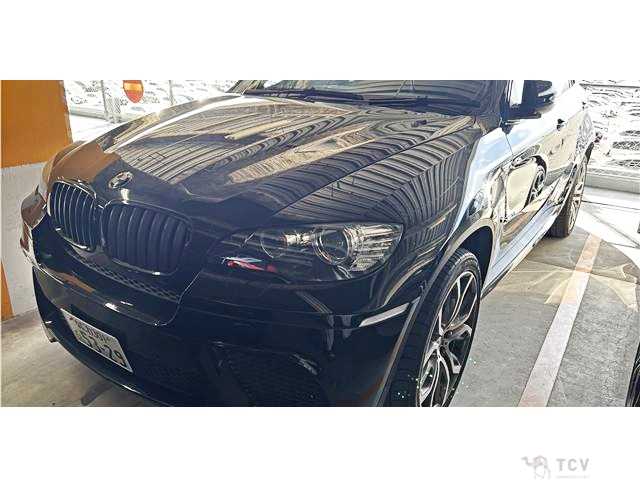 2012 BMW X6