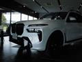2025 BMW X7