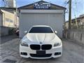 2010 BMW 5 Series