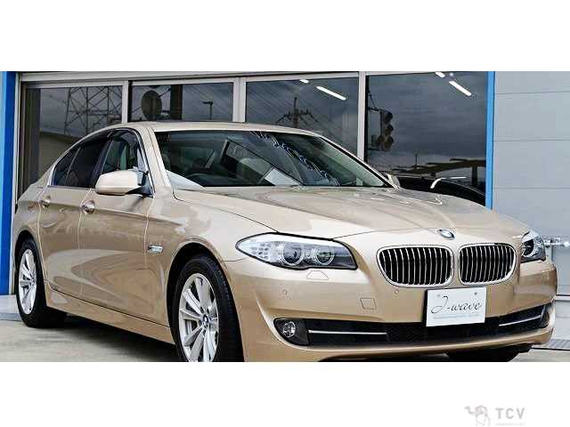 2010 BMW 5 Series