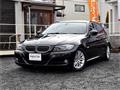 2010 BMW 3 Series