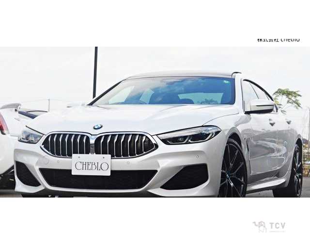 2019 BMW 8 Series