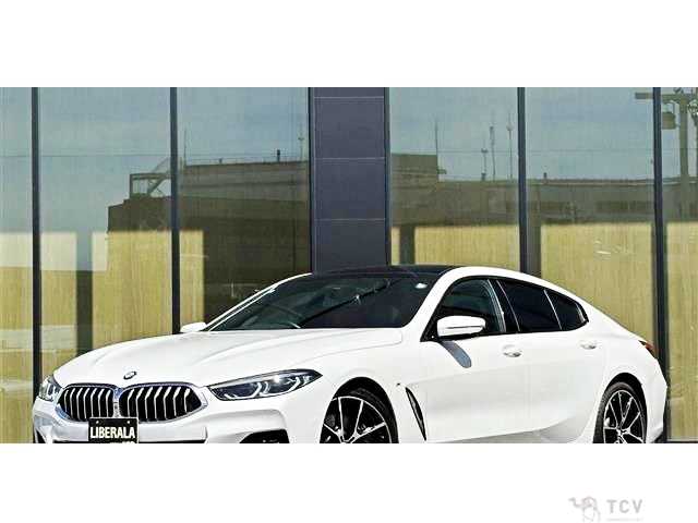 2019 BMW 8 Series