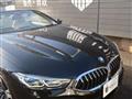 2019 BMW 8 Series