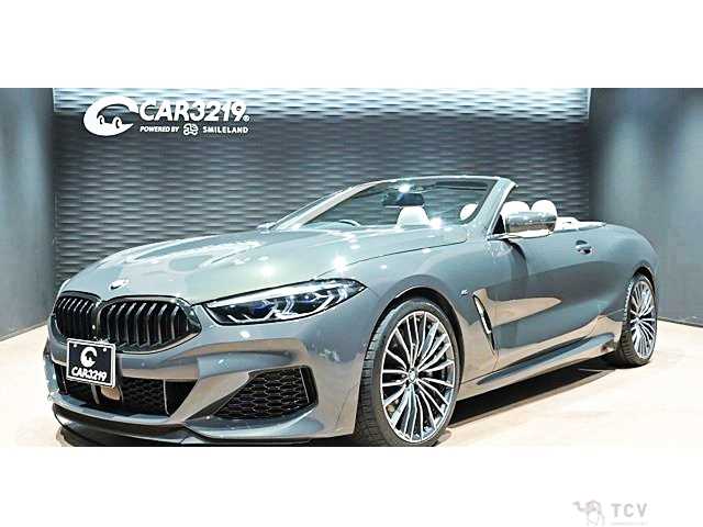2019 BMW 8 Series