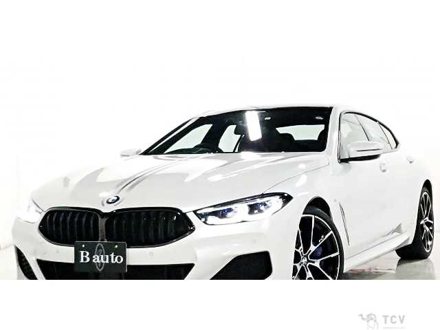 2019 BMW 8 Series