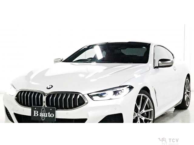 2019 BMW 8 Series