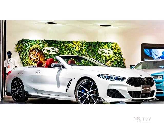 2019 BMW 8 Series