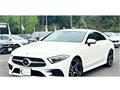 2019 Mercedes-Benz Cls-Class
