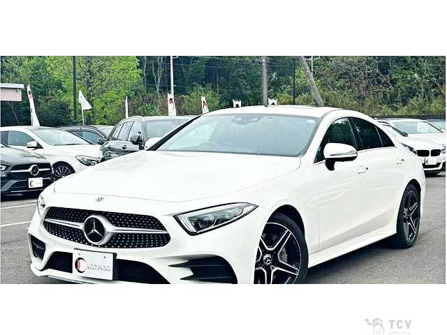 2019 Mercedes-Benz Cls-Class