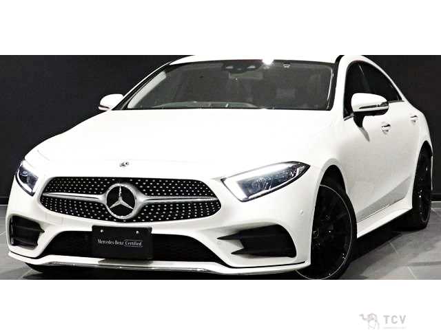 2019 Mercedes-Benz Cls-Class