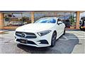 2019 Mercedes-Benz Cls-Class