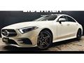 2019 Mercedes-Benz Cls-Class