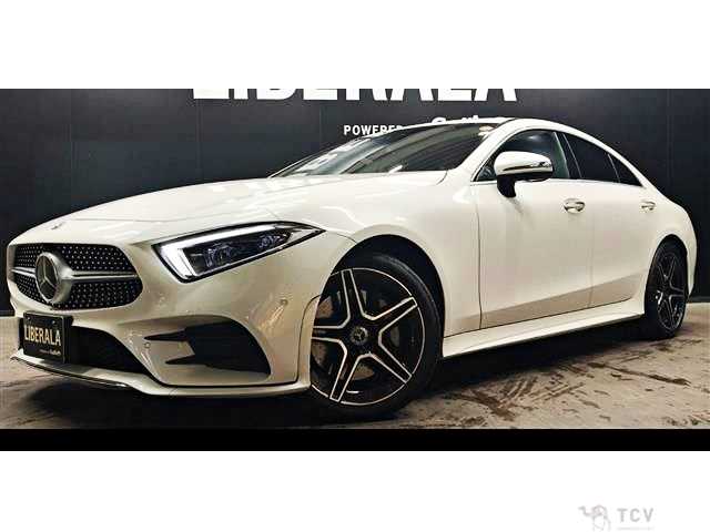 2019 Mercedes-Benz Cls-Class