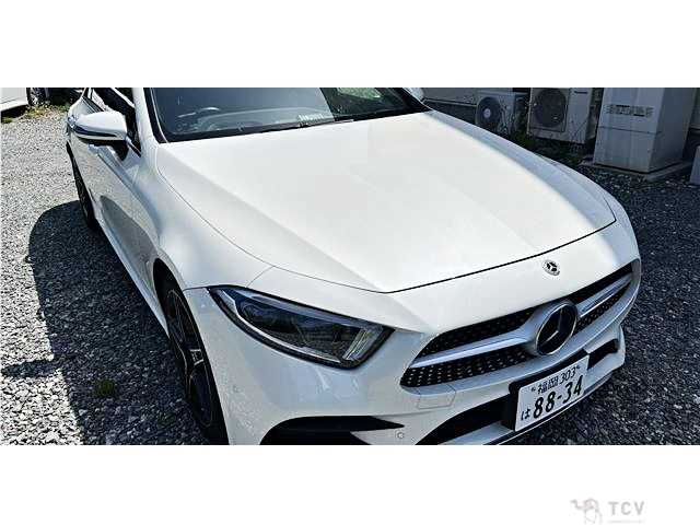 2019 Mercedes-Benz Cls-Class