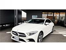 2019 Mercedes-Benz Cls-Class