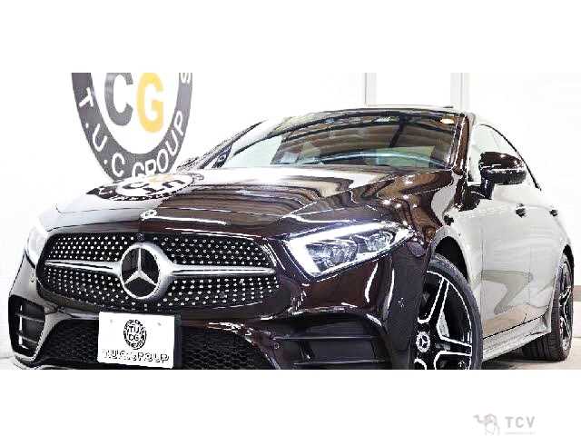 2019 Mercedes-Benz Cls-Class