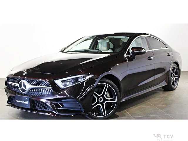 2019 Mercedes-Benz Cls-Class