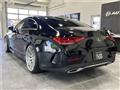 2019 Mercedes-Benz Cls-Class