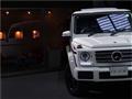 2016 Mercedes-Benz G-Class