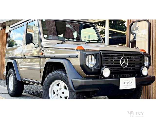 1989 Mercedes-Benz G-Class