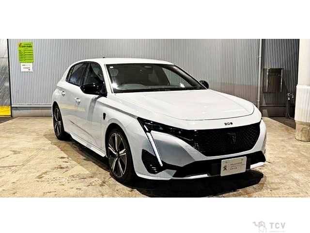 2025 Peugeot 308