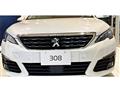 2017 Peugeot 308