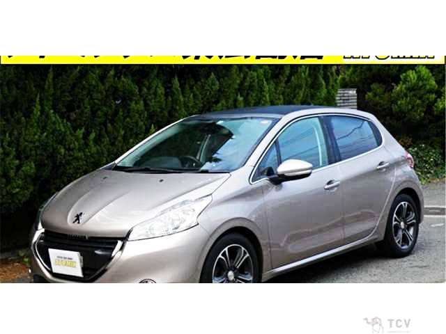 2013 Peugeot 208