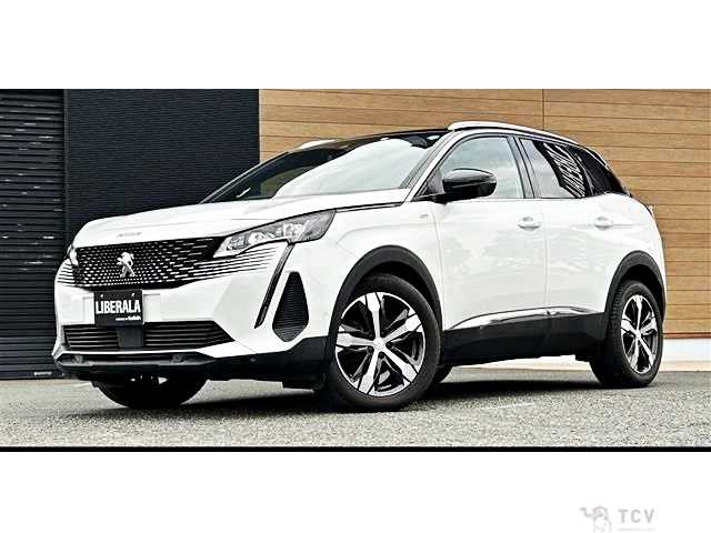 2022 Peugeot 3008