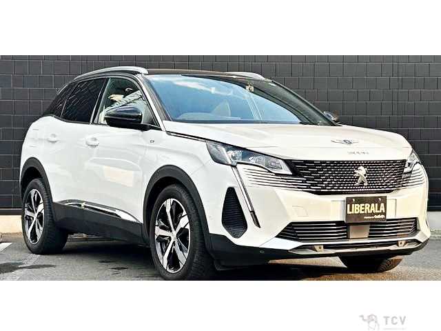 2021 Peugeot 3008