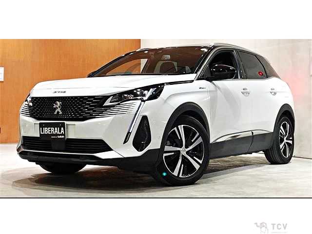 2021 Peugeot 3008