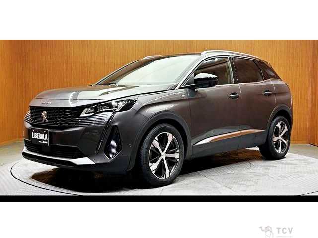 2021 Peugeot 3008