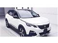 2019 Peugeot 3008