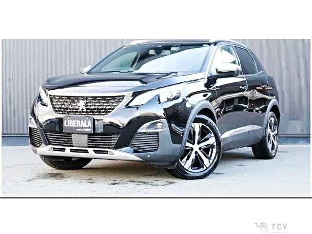 2019 Peugeot 3008
